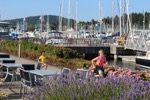 resIMG_20170707_201352_7878.JPG